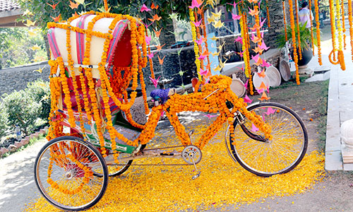 wedding decor services in Udaipur