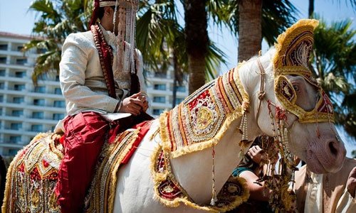 Decorated Horse for Groom