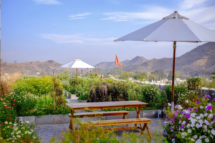 Raas Devigarh Garden Dining Experience